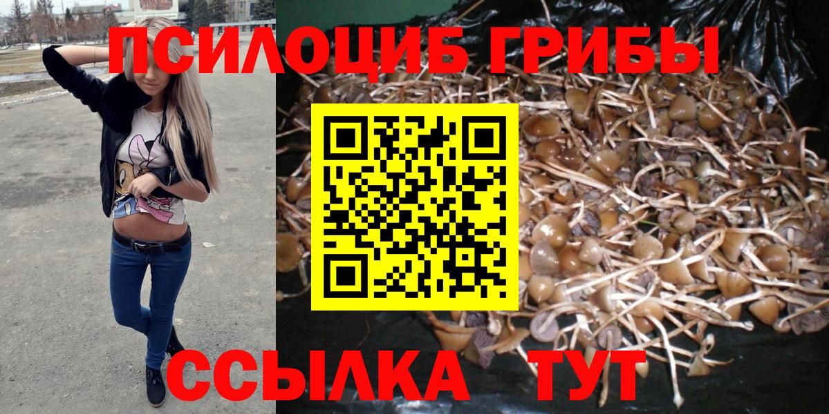 Галлюциногенные грибы Cubensis Ахтубинск