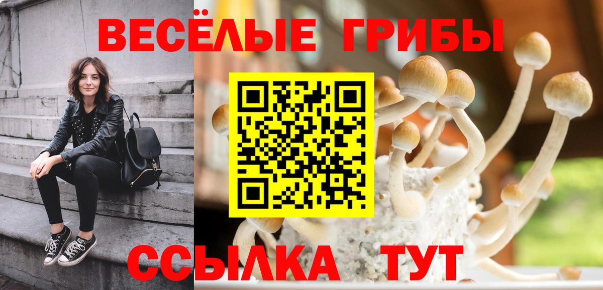 Ахтубинск  Псилоцибиновые грибы мицелий  Псилоцибиновые грибы ЛСД  Вход с VPN 